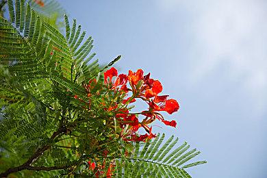 超级上海取得关键节点胜利 《绝地潜兵2》最新战况